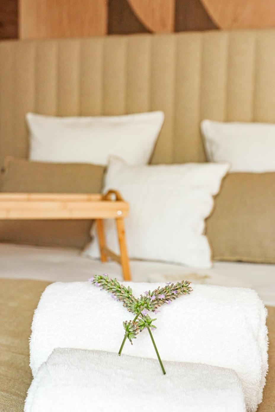 Les Gites De Laure - L'Eden Romantique, Chambres Hotes, Spa Prive, Couloir De Nage, Adults Only Malves-en-Minervois Zewnętrze zdjęcie