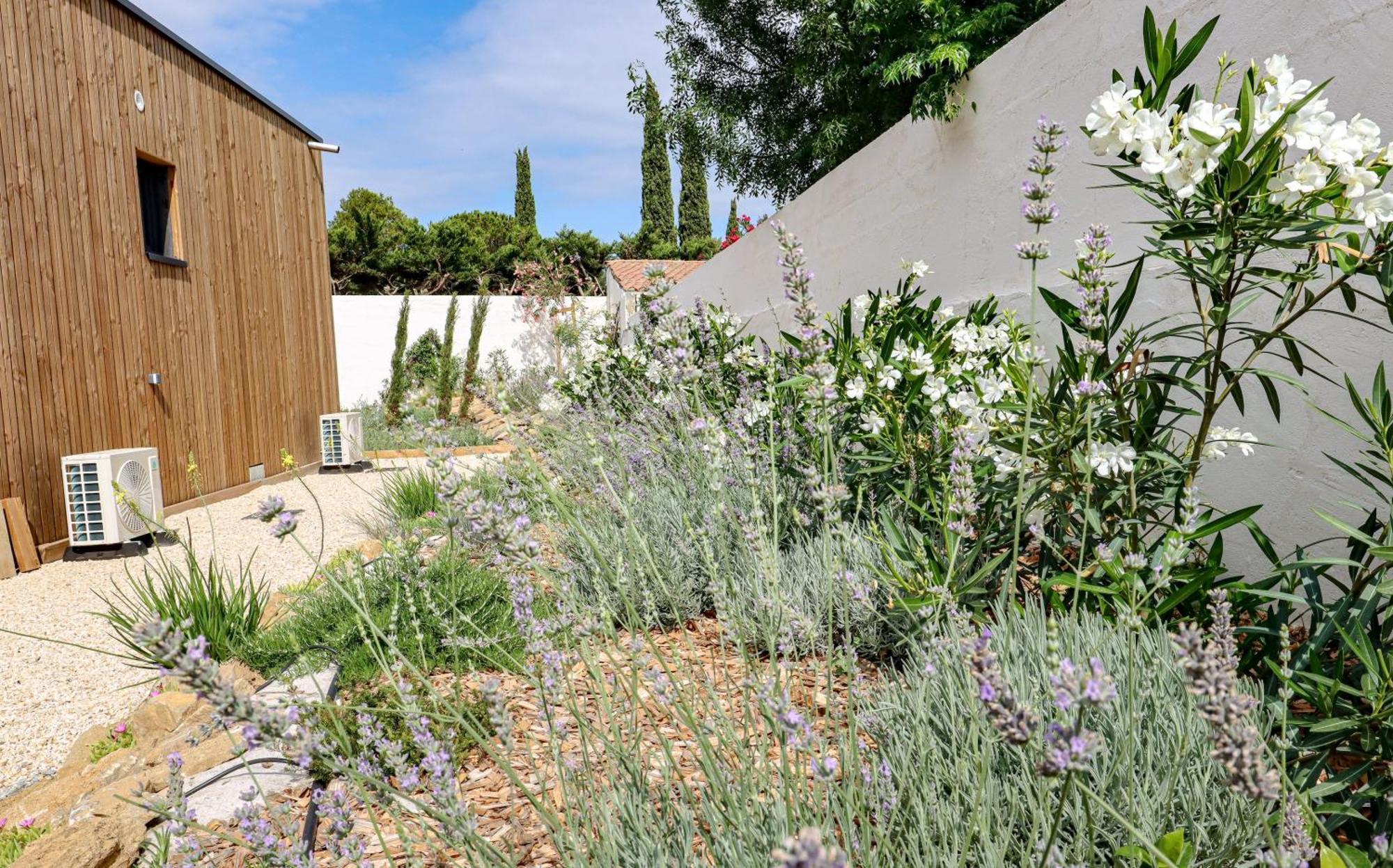 Les Gites De Laure - L'Eden Romantique, Chambres Hotes, Spa Prive, Couloir De Nage, Adults Only Malves-en-Minervois Zewnętrze zdjęcie